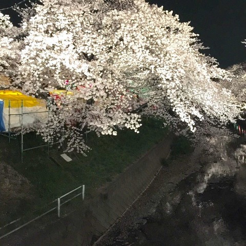 施設写真136