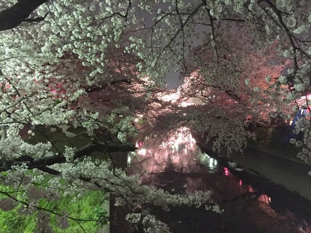 施設写真109