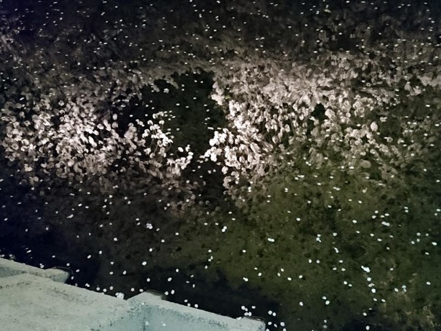 施設写真128