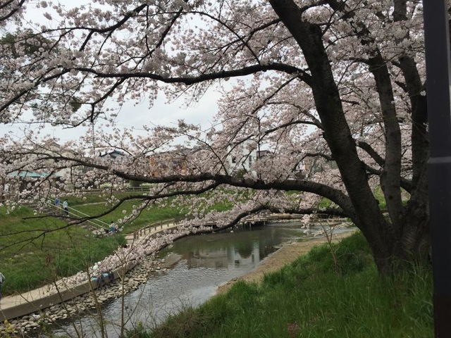 施設写真99