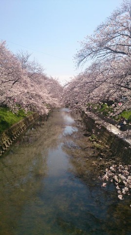 施設写真146