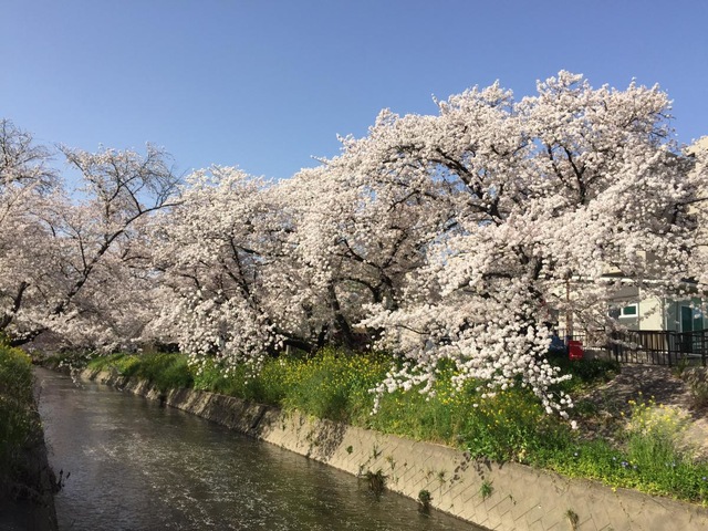 施設写真31
