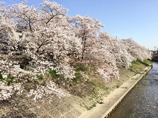 施設写真30