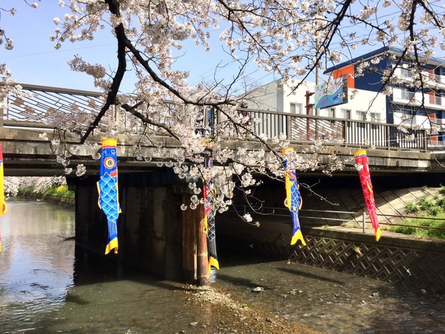 施設写真28