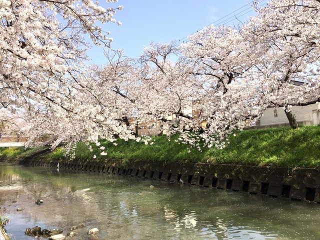 施設写真27