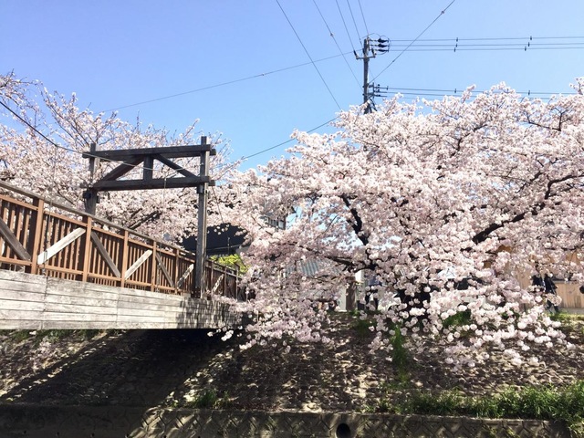 施設写真26