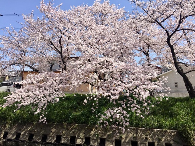 施設写真24