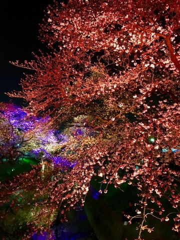 施設写真38