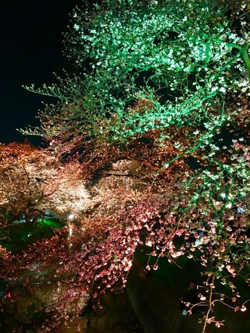施設写真37