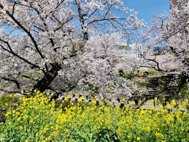 施設写真32