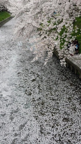 施設写真145