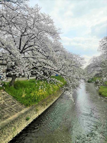 施設写真51