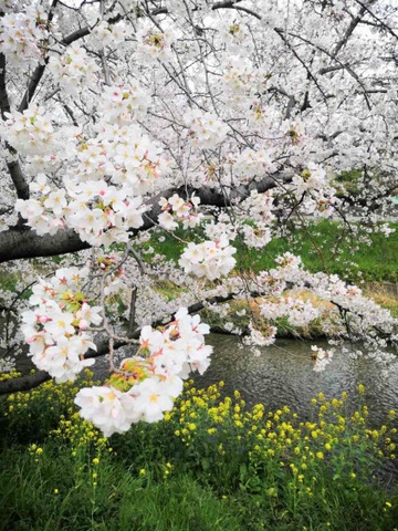 施設写真50