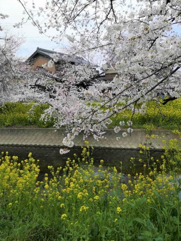 施設写真49