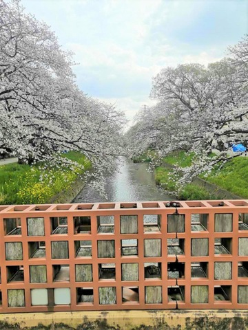 施設写真47