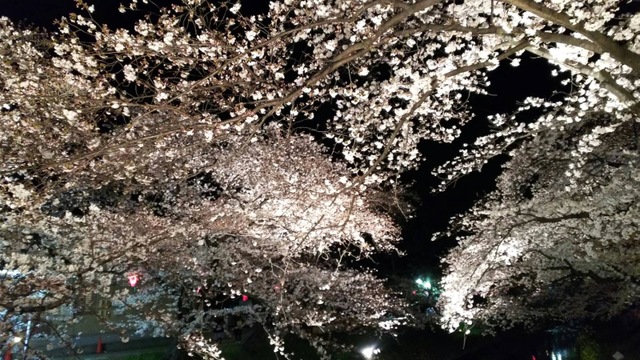 施設写真65