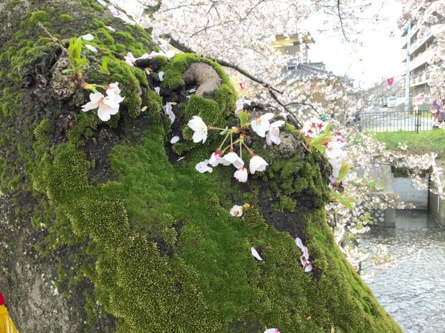 施設写真139
