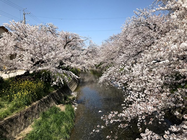 施設写真56