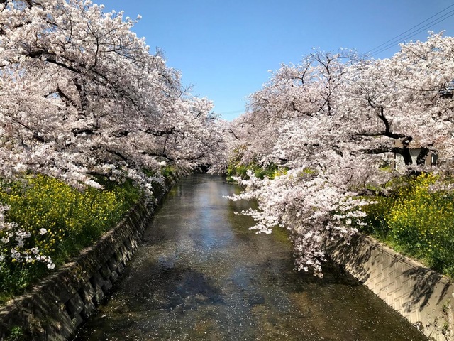 施設写真53