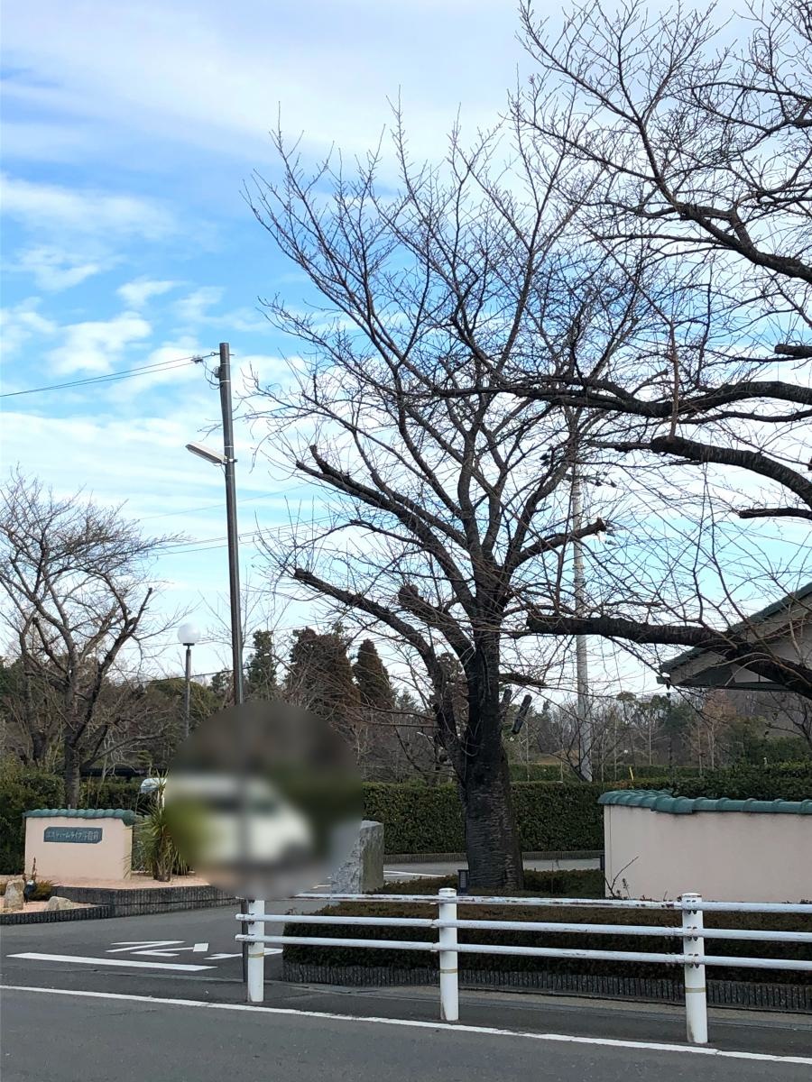 エスティームライフ学園前