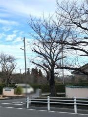 エスティームライフ学園前