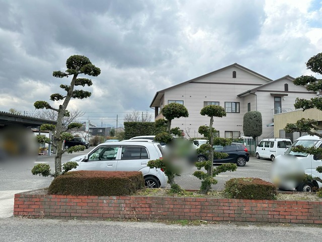 ひまわり