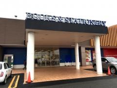 知遊堂亀貝店