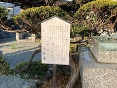 浄林寺