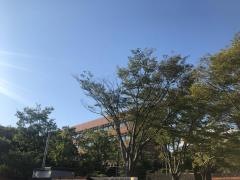 近畿大学附属和歌山高等学校
