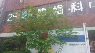 関歯科・口腔医療クリニック