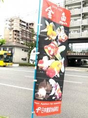松井金魚店