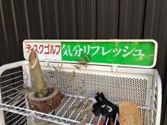 阿寺ディスクゴルフ
