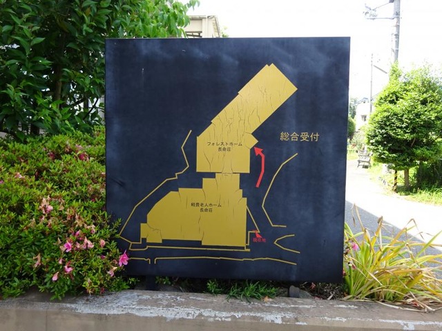 フォレストホーム