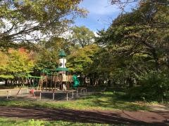 大学村の森