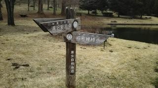 森林公園