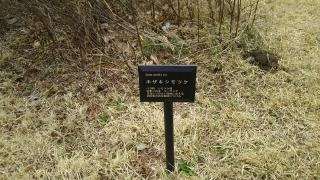 森林公園
