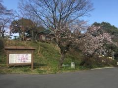 城山公園