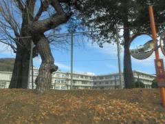 菱小学校