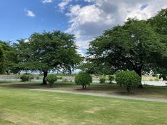 玉村町東部スポーツ広場