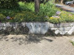 大泉公園