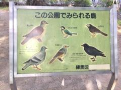 大泉公園