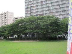 御崎公園