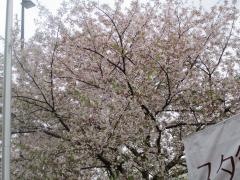 御崎公園