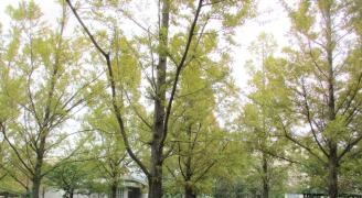 御崎公園