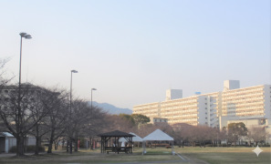 御崎公園