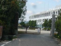 中原小学校