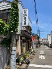 鳥の巣