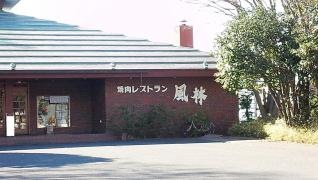 風林青柳店