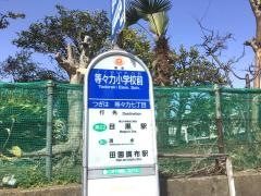 「等々力小学校前」バス停留所