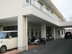 いなほ